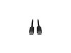P580-010-v4 Cable Dp Tripp Lite R