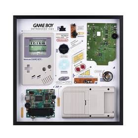 Mhzssc 607654711841 Gameboy 1996 Specimen Amusement Player Mounted Decorative Arts Electronic Pro