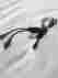 Rbg-010 Nintendo Gameboy Universal Link Cable Oem