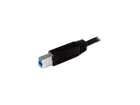 Usb31cb1m Startech Startech.com 1m 3ft Usb 3.1 Usb-c To Usb-b Cable - Type-c Type-b