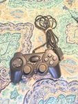 Sony Playstation PS2 PS1 Wired Controller Hip Gear. Fixed Price $10.00.