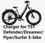 Power Supply Battery Charger For Tst Defender/dreamer/flyer/surfer/ Ebike. Fixed Price $33.54.