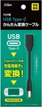 Power Conversion Adapter For Sony Psp 3000/2000/1000 Usb Type C, New From Japan. Fixed Price $45.00.